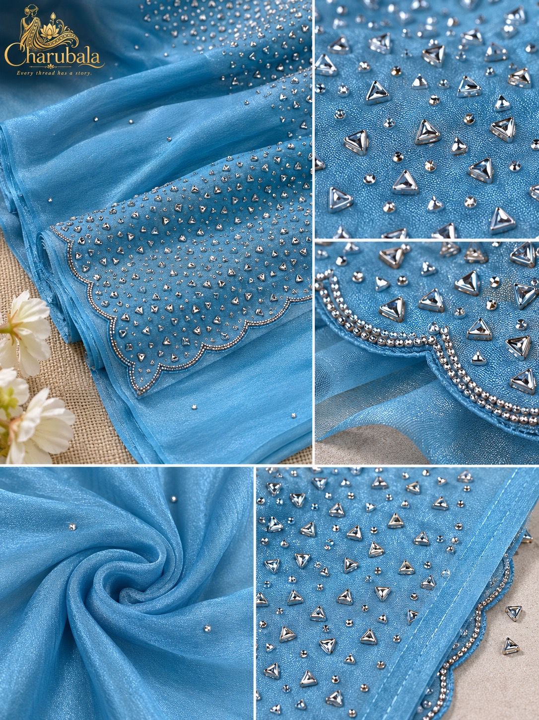 Neelima Glass Tissue Saree with Zarkan Handwork